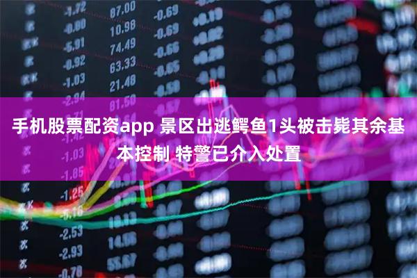 手机股票配资app 景区出逃鳄鱼1头被击毙其余基本控制 特警已介入处置