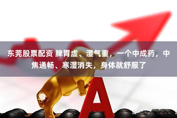 东莞股票配资 脾胃虚、湿气重，一个中成药，中焦通畅、寒湿消失，身体就舒服了